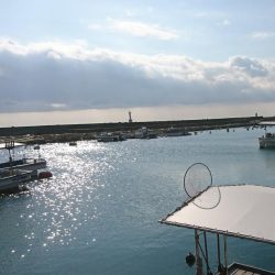 江井ヶ島漁港・穴釣り