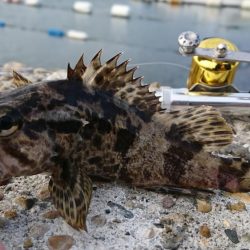 江井ヶ島漁港・江井ヶ島海岸