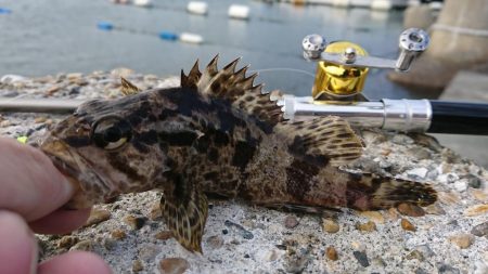 江井ヶ島漁港・江井ヶ島海岸