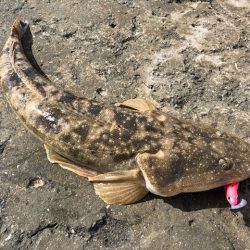 バルトの威力!!!