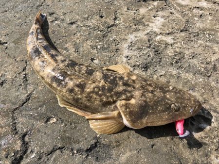 バルトの威力!!!