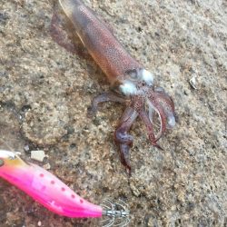 ヒイカ　アゲイン