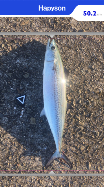 やっぱし、サゴシハラさん