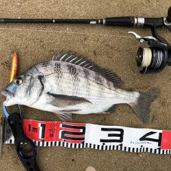 荒れてます、雨降ってます