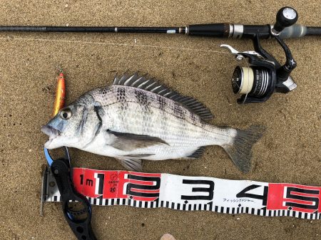 荒れてます、雨降ってます
