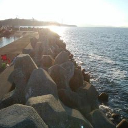 穴釣りとエギング