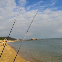 大崎海岸(休暇村 瀬戸内・東予)で投げ釣り