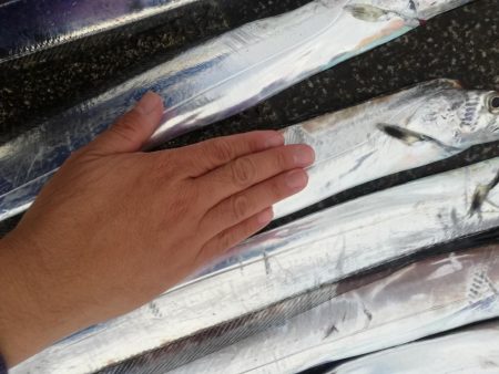 ディアルーナ対空砲