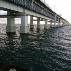 ワインドとアジング