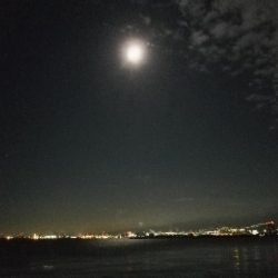 渋い中、少ない当たりをモノにしました!