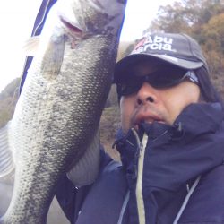 バスはシャローにもディープにも居ます…