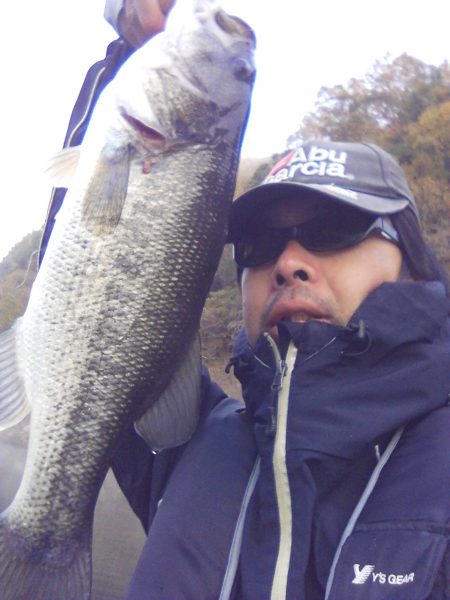 バスはシャローにもディープにも居ます…