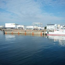 用事のついでに