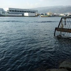 評判の釣り場見学