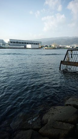 評判の釣り場見学