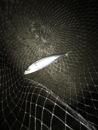 チャンスは一瞬