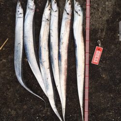 そこそこあたりあり