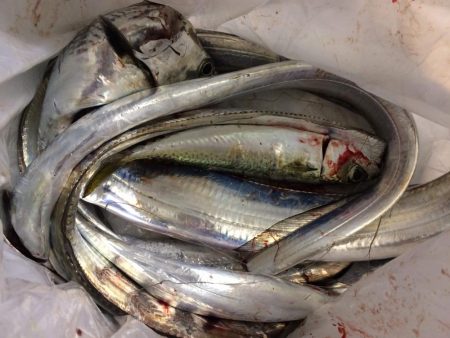 ある方法で連発