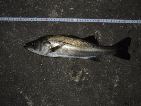 最後にやっとハネ