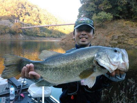 秋でもバックウォーター