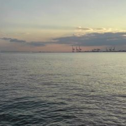 お気に入りルアーが…。