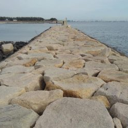 タチウオは何処？