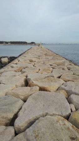 タチウオは何処？