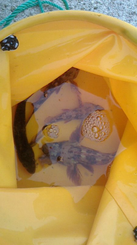 穴釣り・浮釣り