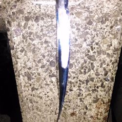 ワインドでタチウオ