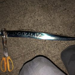 太刀魚激シブ　アオリは小さい