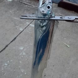 タチウオ最終エリア調査