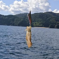 ボートエギング5