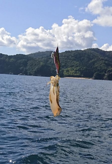 ボートエギング5