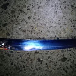 南港タチウオ釣行