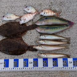 カレイ釣り、落ちギス釣り