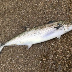 心臓に悪い…笑