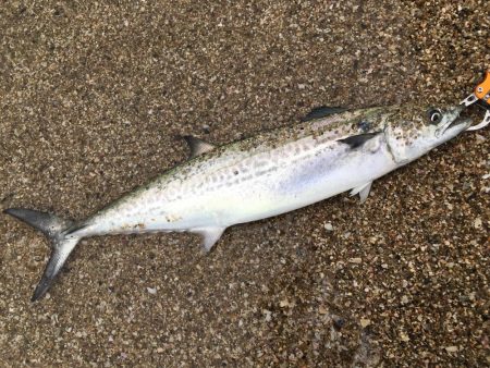 心臓に悪い…笑