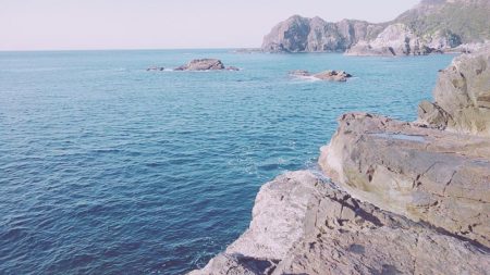 アオリイカ、アカハタ