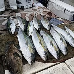 大物釣果速報！●光義丸：平戸市早福港