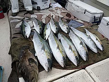 大物釣果速報！●光義丸：平戸市早福港