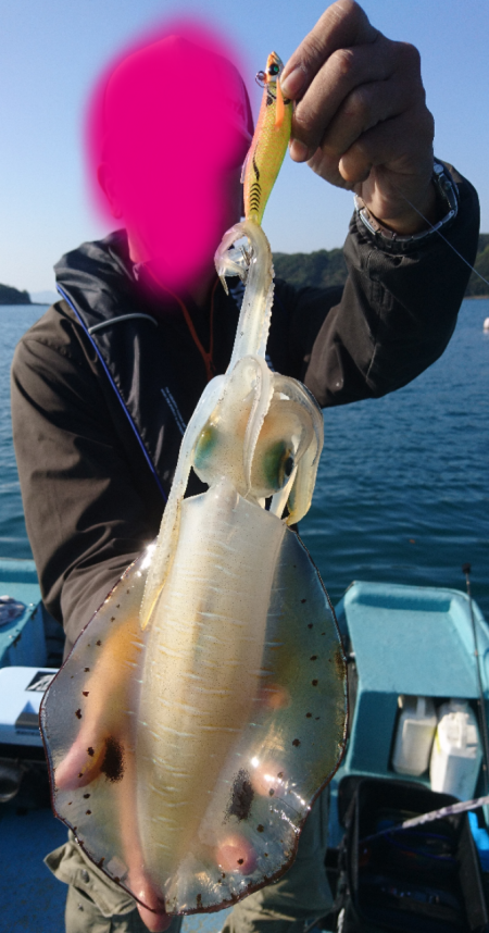 ボートエギング