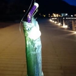 軽くシャクるだけで綺麗なダート！　がまかつLUXXE（ラグゼ）ワインドマスターモニターレポート