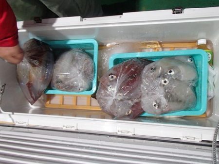 第二むつ漁丸 釣果