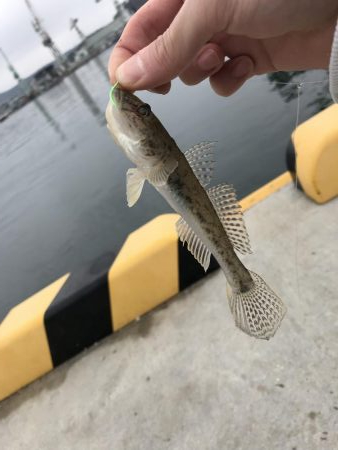 ちょい投げ、足元釣り