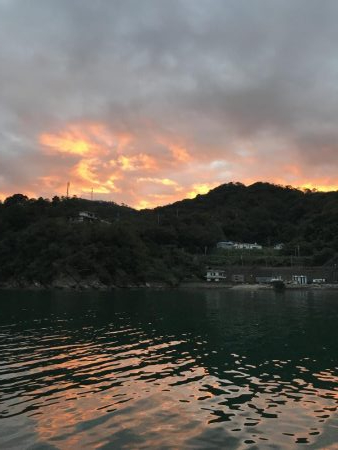 ヤエンばっかり