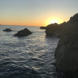 ウミガメに邪魔されて！