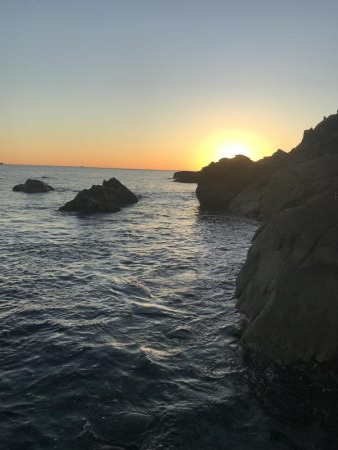 ウミガメに邪魔されて！