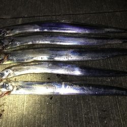 サイズがちょっと大きくなったかな