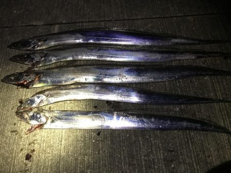 サイズがちょっと大きくなったかな