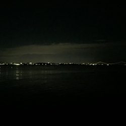 タチウオざんまい！